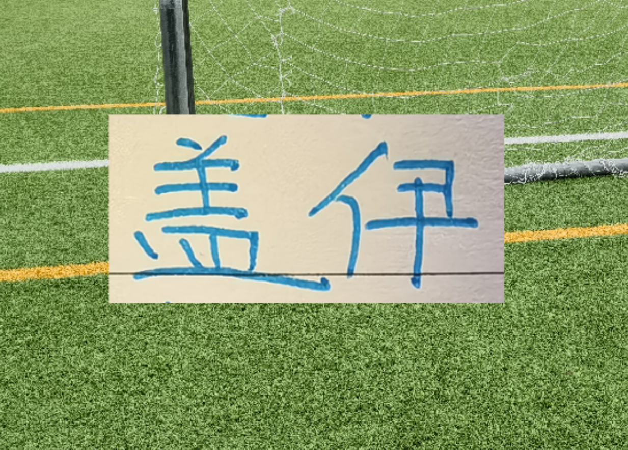 极速电竞app下载-1米95的盖伊会像马莱莱一样 面对中超后卫都是降维打击吗